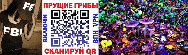 Псилоцибиновые грибы Psilocybe  mega рабочий сайт  Яровое 