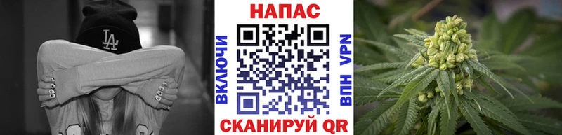 Шишки марихуана семена  цена   Яровое 